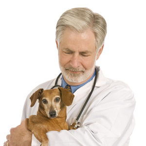Dr. Lorem Ipsum