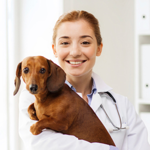 Dr. Ipsum Lorem